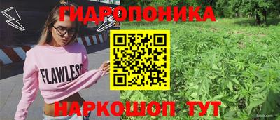 амф Партизанск